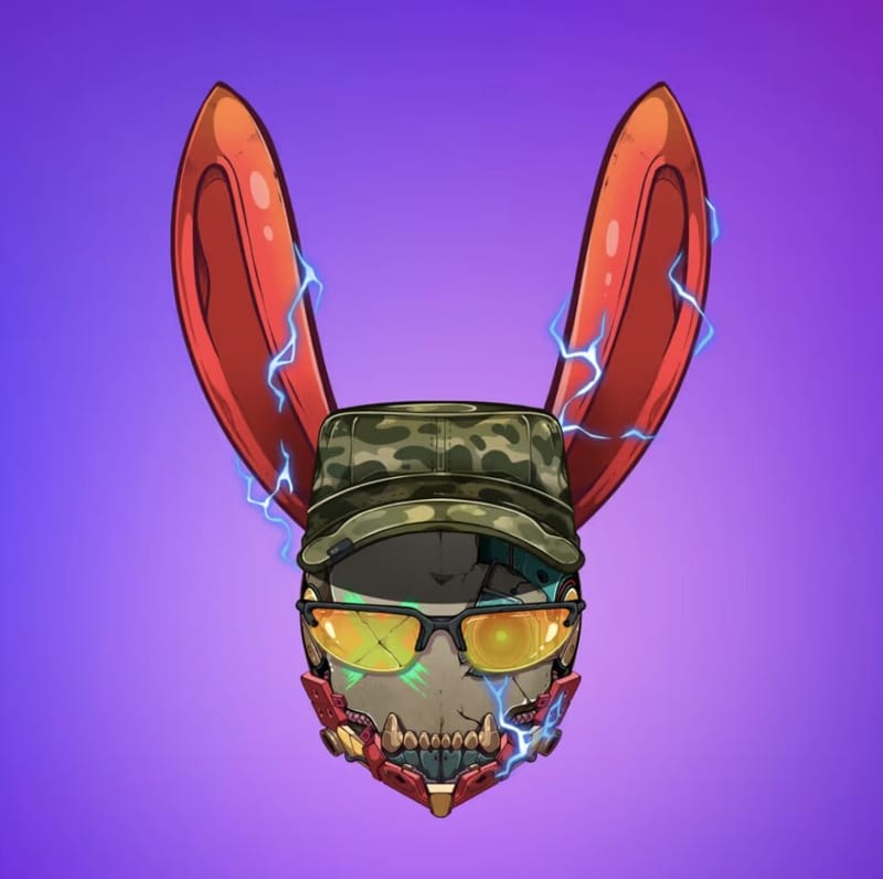 Rebel-Rabbit-4733-1024x1020.jpeg